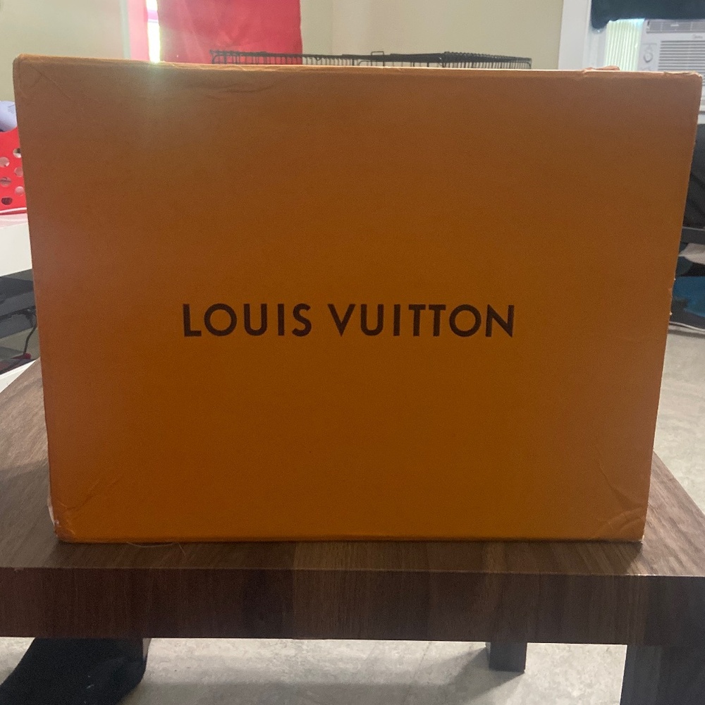 Louis Vuitton Arch Light Sneaker